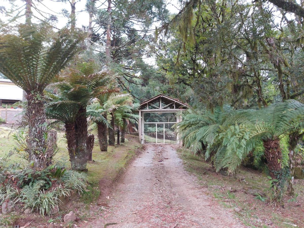 Sitio Dos Amigos Lägenhet Canela Exteriör bild